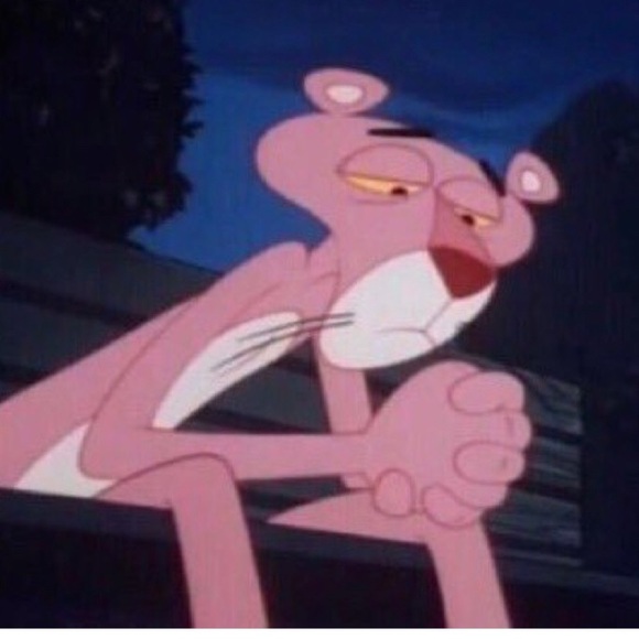 Meet your Posher, Hydi - Picture 1 of 1